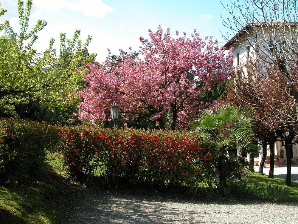 فندق Lake Maggioreفي  Du Parc المظهر الخارجي الصورة