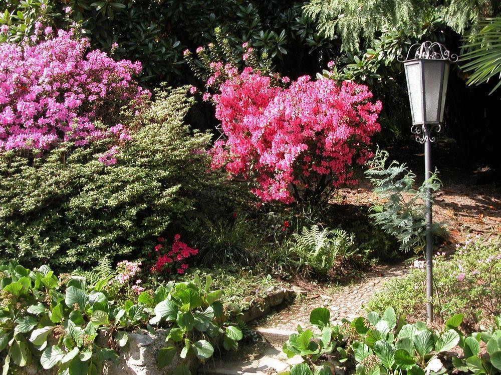 فندق Lake Maggioreفي  Du Parc المظهر الخارجي الصورة