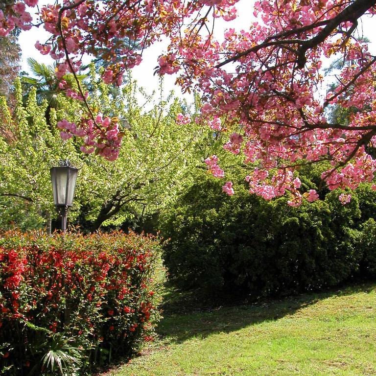 فندق Lake Maggioreفي  Du Parc المظهر الخارجي الصورة